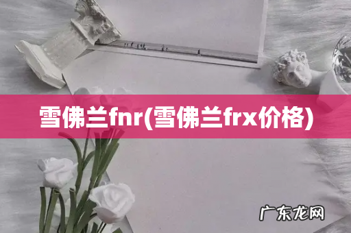 雪佛兰frx价格 雪佛兰fnr