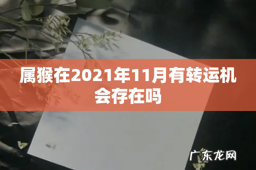 属猴在2021年11月有转运机会存在吗