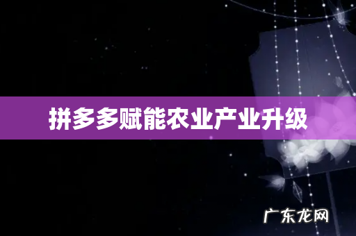 拼多多赋能农业产业升级