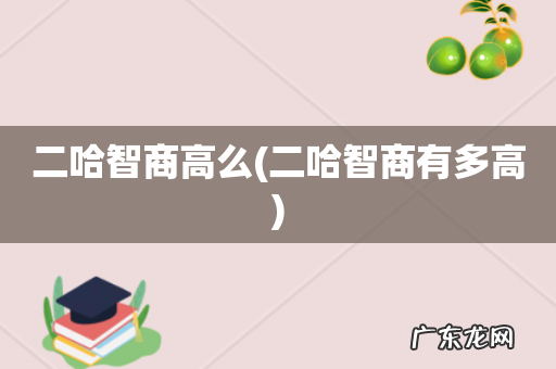 二哈智商有多高 二哈智商高么