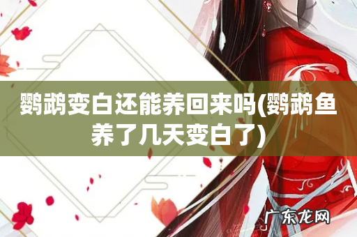 鹦鹉鱼养了几天变白了 鹦鹉变白还能养回来吗