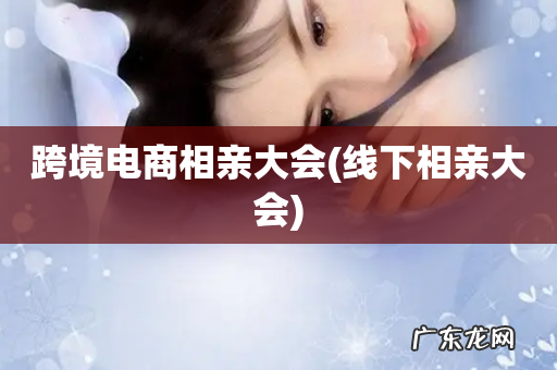 线下相亲大会 跨境电商相亲大会