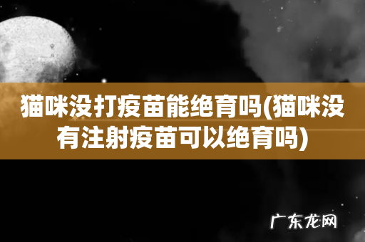 猫咪没有注射疫苗可以绝育吗 猫咪没打疫苗能绝育吗