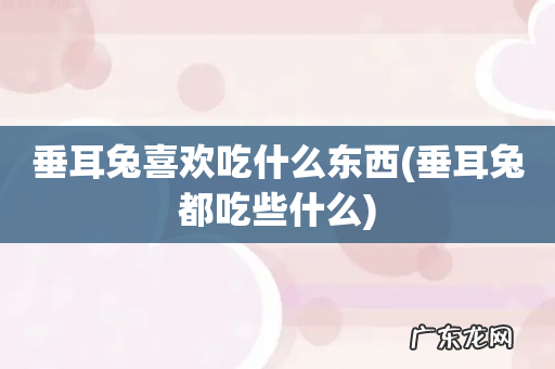 垂耳兔都吃些什么 垂耳兔喜欢吃什么东西