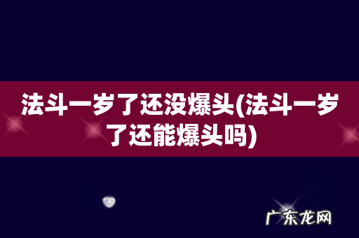 法斗一岁了还能爆头吗 法斗一岁了还没爆头