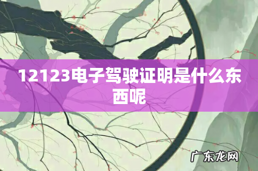 12123电子驾驶证明是什么东西呢