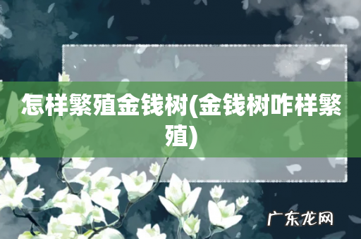 金钱树咋样繁殖 怎样繁殖金钱树