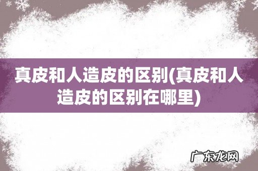 真皮和人造皮的区别在哪里 真皮和人造皮的区别