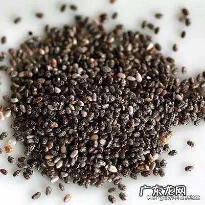 减肥瘦身品牌排行榜 减肥产品排行榜