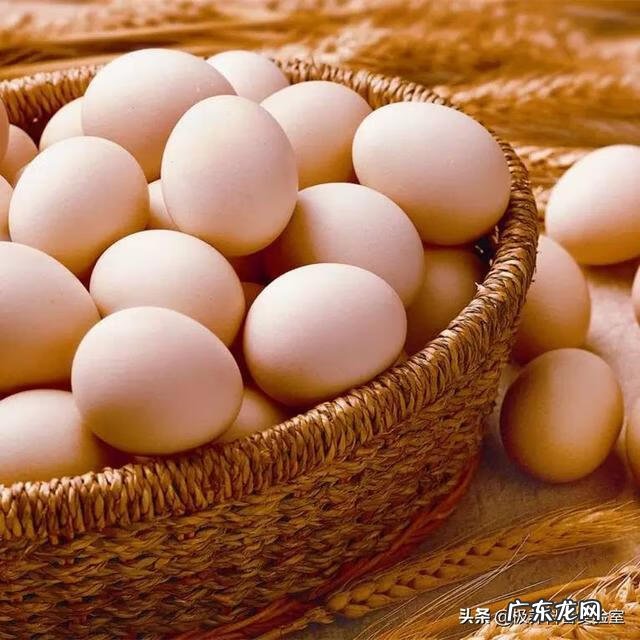 减肥瘦身品牌排行榜 减肥产品排行榜