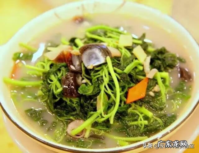 减肥瘦身品牌排行榜 减肥产品排行榜