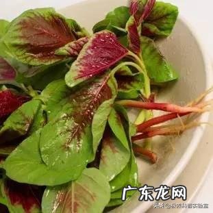 减肥瘦身品牌排行榜 减肥产品排行榜