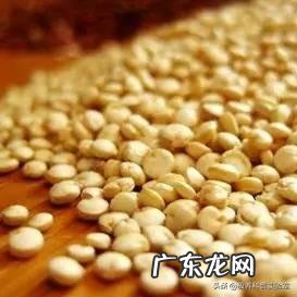 减肥瘦身品牌排行榜 减肥产品排行榜