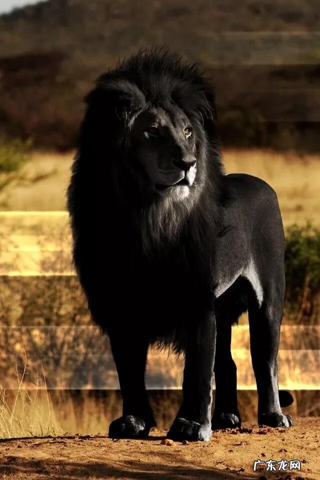 关于团结的名言俗语 团结的谚语有哪些