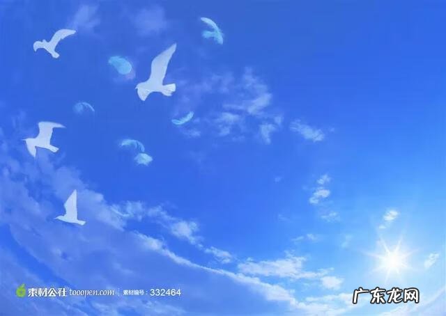 关于团结的名言俗语 团结的谚语有哪些