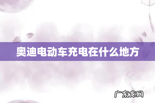 奥迪电动车充电在什么地方