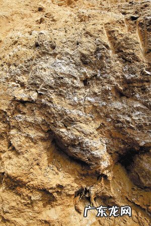 墓地风水对后人的影响 墓下打出黄沙对风水有影响吗