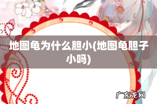 地图龟胆子小吗 地图龟为什么胆小