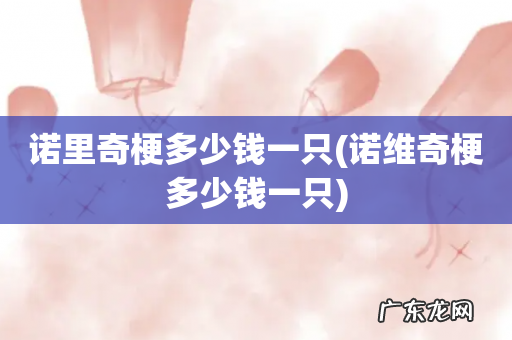 诺维奇梗多少钱一只 诺里奇梗多少钱一只