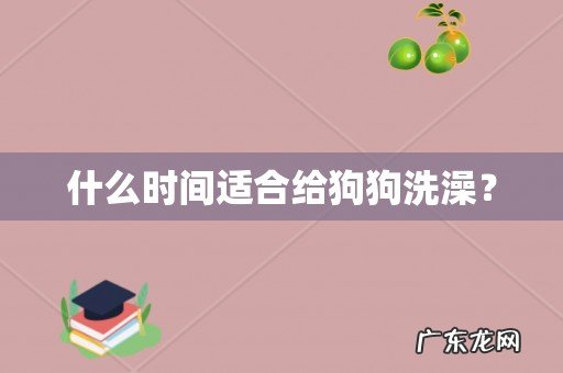 什么时间适合给狗狗洗澡?