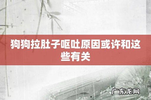 狗狗拉肚子呕吐原因或许和这些有关