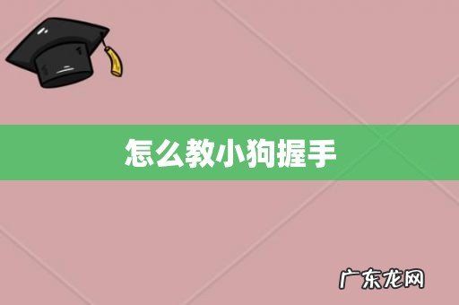 怎么教小狗握手