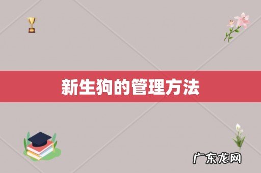 新生狗的管理方法