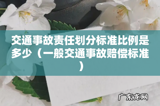 一般交通事故赔偿标准 交通事故责任划分标准比例是多少