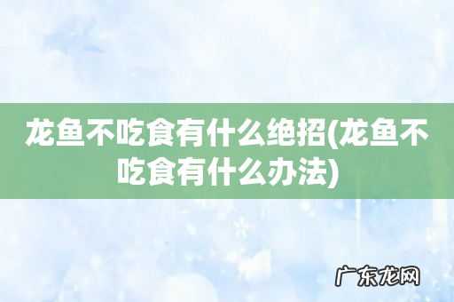 龙鱼不吃食有什么办法 龙鱼不吃食有什么绝招
