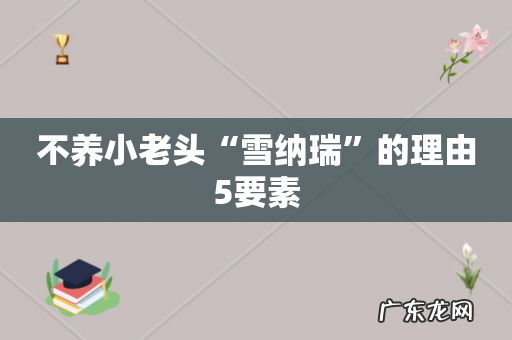 不养小老头“雪纳瑞”的理由5要素