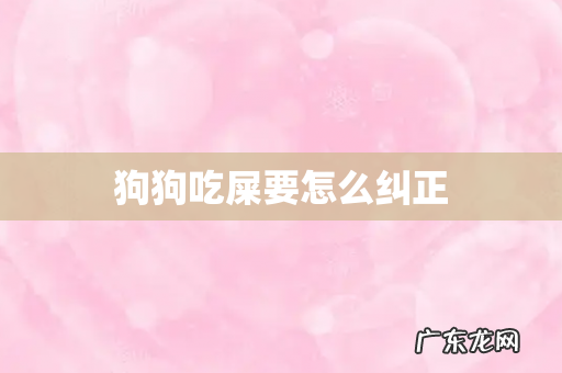 狗狗吃屎要怎么纠正