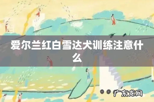 爱尔兰红白雪达犬训练注意什么