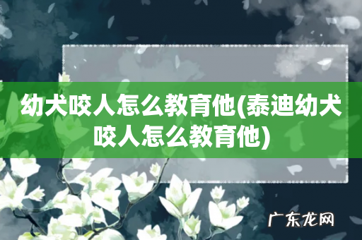 泰迪幼犬咬人怎么教育他 幼犬咬人怎么教育他