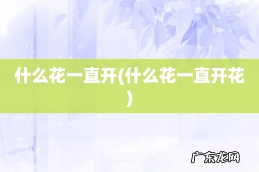 什么花一直开花 什么花一直开