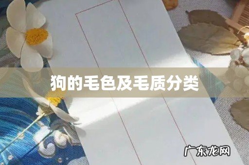狗的毛色及毛质分类
