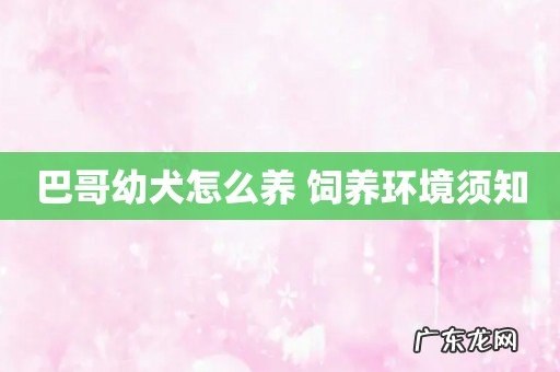 巴哥幼犬怎么养 饲养环境须知