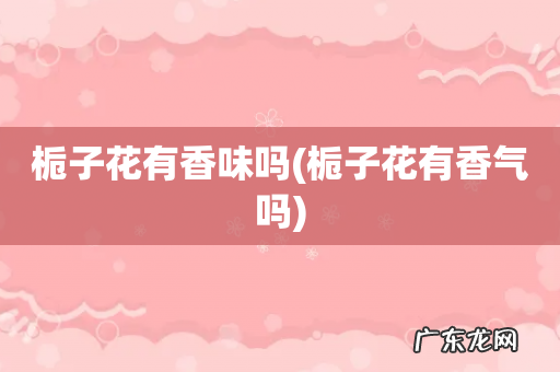 栀子花有香气吗 栀子花有香味吗