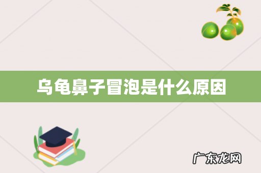 乌龟鼻子冒泡是什么原因