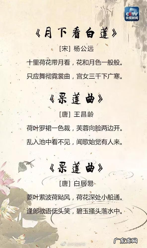 描写夏天的古诗句子 关于夏天的诗句古诗