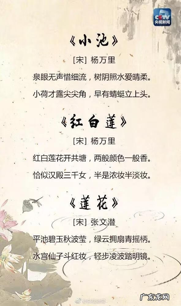 描写夏天的古诗句子 关于夏天的诗句古诗