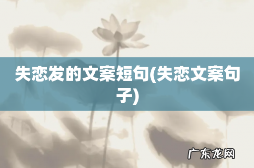 失恋文案句子 失恋发的文案短句