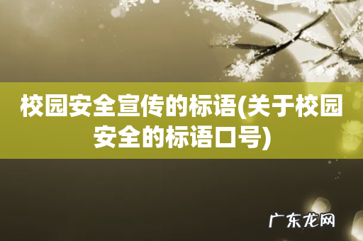 关于校园安全的标语口号 校园安全宣传的标语