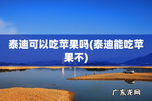 泰迪能吃苹果不 泰迪可以吃苹果吗