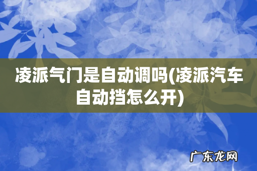 凌派汽车自动挡怎么开 凌派气门是自动调吗