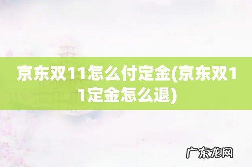 京东双11定金怎么退 京东双11怎么付定金