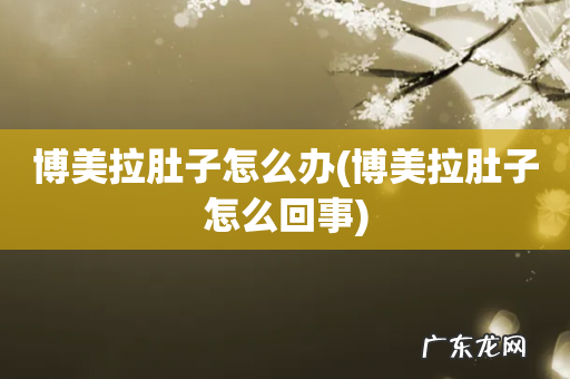 博美拉肚子怎么回事 博美拉肚子怎么办