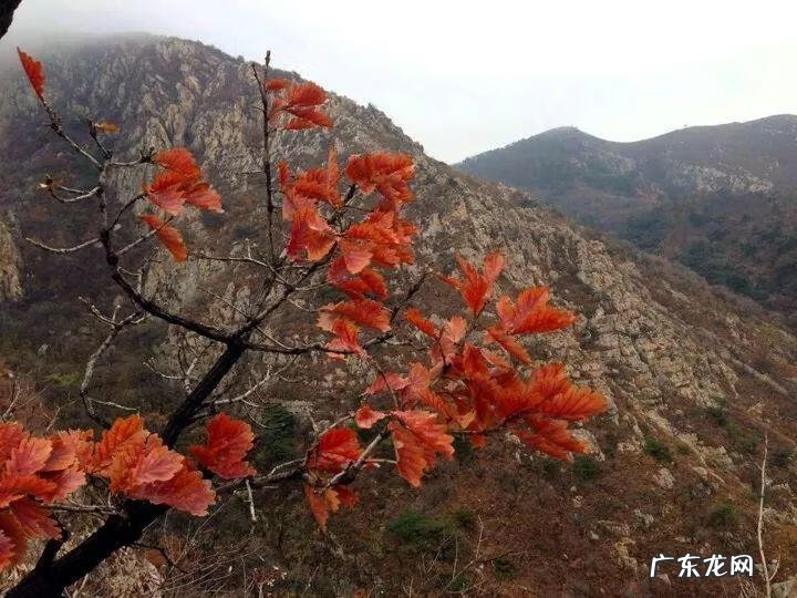 民间三百年的风水不传之秘 延绵大黑山风水
