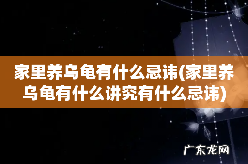 家里养乌龟有什么讲究有什么忌讳 家里养乌龟有什么忌讳