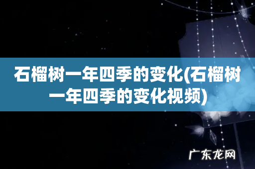 石榴树一年四季的变化视频 石榴树一年四季的变化