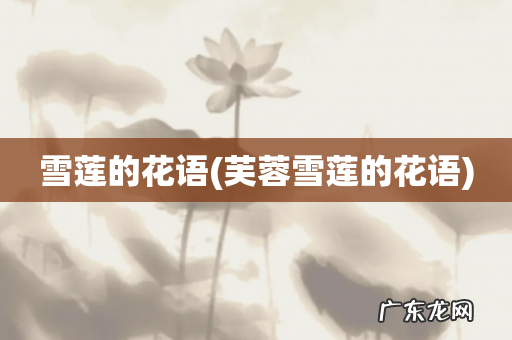 芙蓉雪莲的花语 雪莲的花语